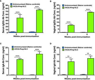 A novel cold-chain free VCG-based subunit vaccine protects against Chlamydia abortus-induced neonatal mortality in a pregnant mouse model